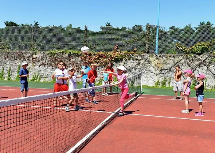 Mobil Avec Terrasse A Saint-jean-de-monts - Api-1-52-1176 Saint-Jean-de-Monts