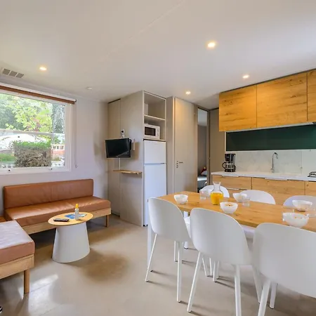 Mobil Avec Terrasse A Saint-jean-de-monts - Api-1-52-1176 Saint-Jean-de-Monts